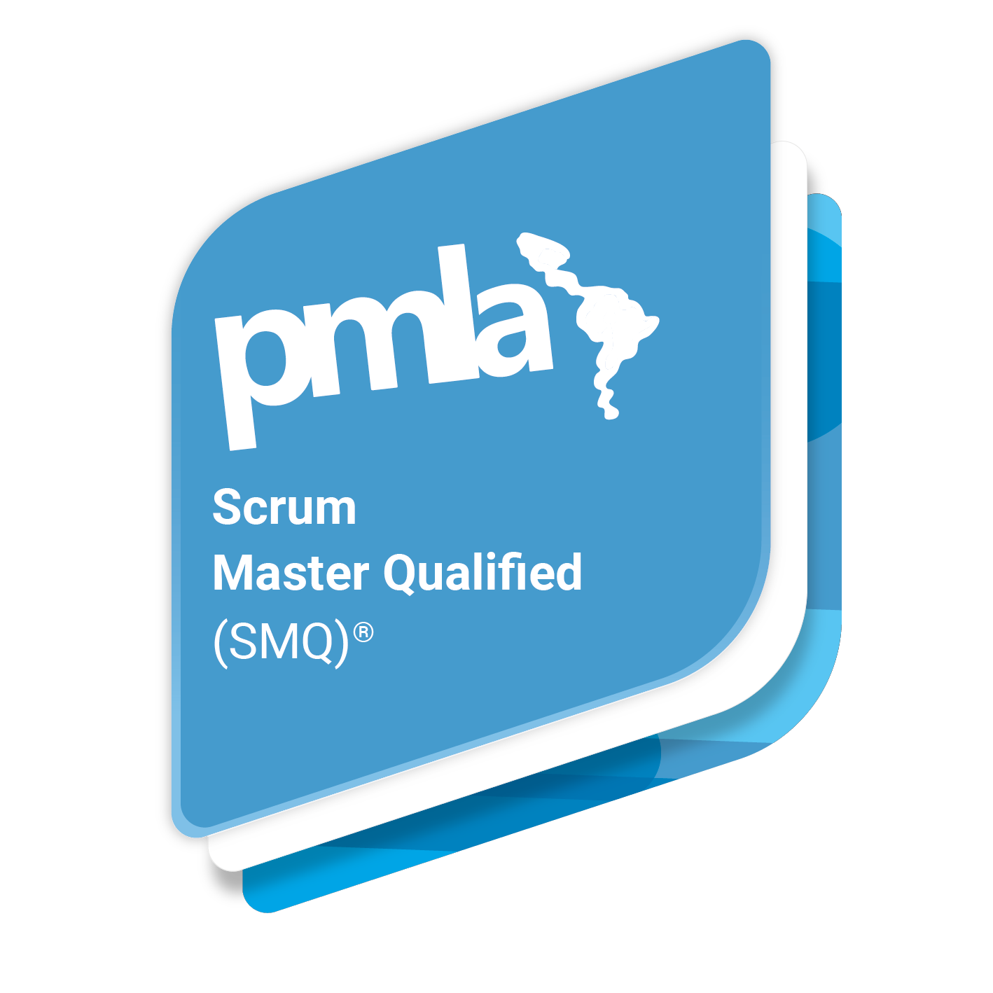 Scrum Master