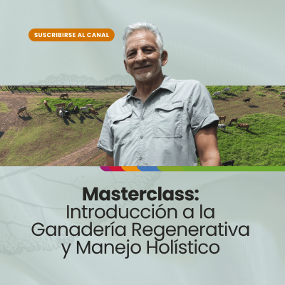 Técnico en gestión de proyectos (1200 x 1200 px) (2)