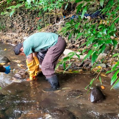 Monitoreo ambiental
